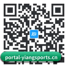 系统版 iOS 二维码